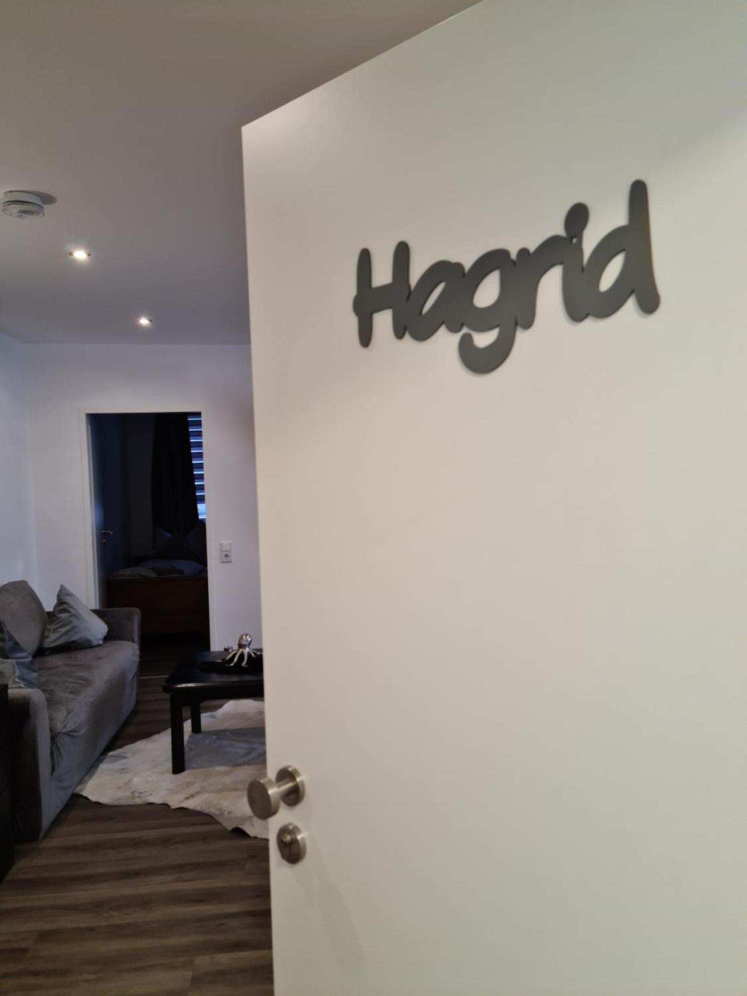 Pilgrims "Hagrid" 2 Sz, Balkon, Kueche, Bad, Top Wifi Брілон Екстер'єр фото